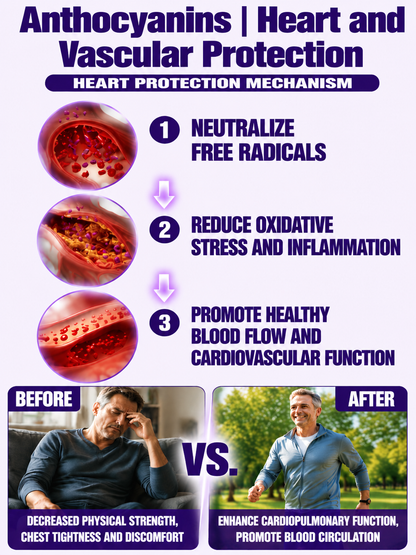 Healthy Low Fat Purple Sweet Potato Snack